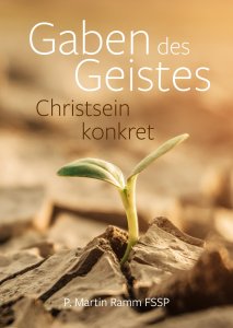 Gaben des Geistes - Christsein konkret