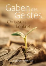 Gaben des Geistes - Christsein konkret